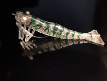 Load image into Gallery viewer, Days Off 120mm/17g Pro Series Prawns