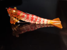 Load image into Gallery viewer, Days Off 120mm/17g Pro Series Prawns Bundle (5 x Pro Series Prawns)