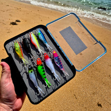 Load image into Gallery viewer, Split Foam Lure Case
