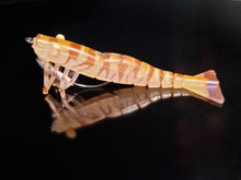 Load image into Gallery viewer, Days Off 120mm/17g Pro Series Prawns
